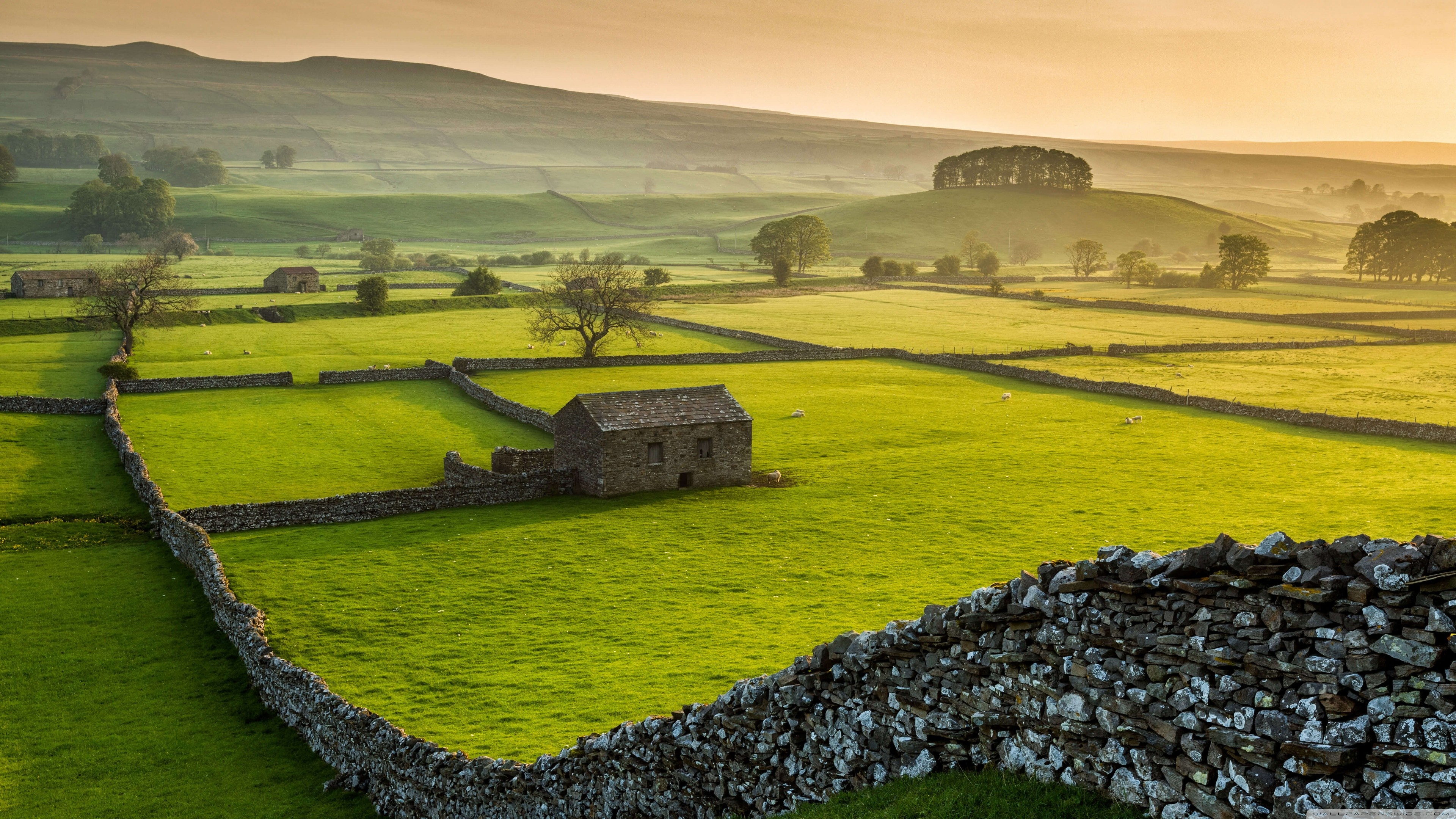British countryside landscape